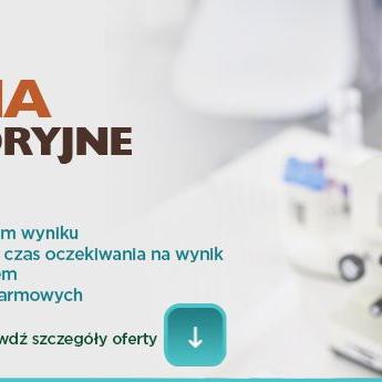 Bilirubina całkowita i frakcje