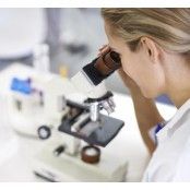 Toksoplazmoza panel (IgG, IgM)