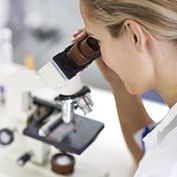 P.ciała przeciw Borrelia IgM