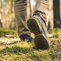 Pakiet szczepień przeciwko kleszczowemu zapaleniu mózgu (KZM) dla dorosłych - Sposób na kleszcze z kwalifikacją do szczepienia