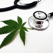 Medical cannabis therapy: eligibility appointment
