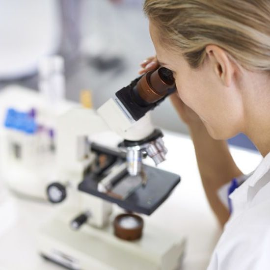 P.ciała przeciw Chlamydia pneumoniae IgA