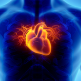 Cardiology diagnostics package