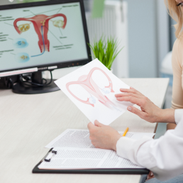 Gynecological ultrasound